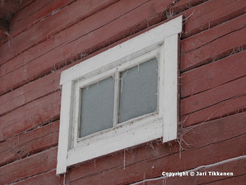 Päivän kuva Hämähäkkien verkkoja