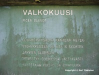 Valokuva