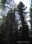 Valokuva