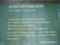 Valokuva