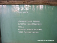 Valokuva