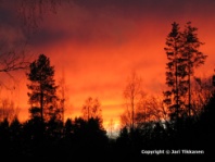 Valokuva