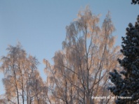 Valokuva