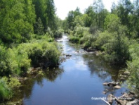 Valokuva
