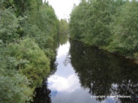 Valokuva