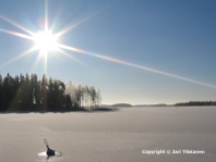 Valokuva