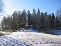 Valokuva