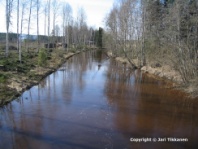 Valokuva