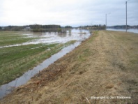 Valokuva